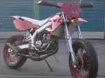 Jolie DERBI SM tuning rose