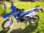 Fiche Technique : Suzuki SMX