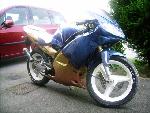 Peugeot XR6 furious Malossi