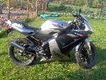 TZR choupinette avec kit 50 DR